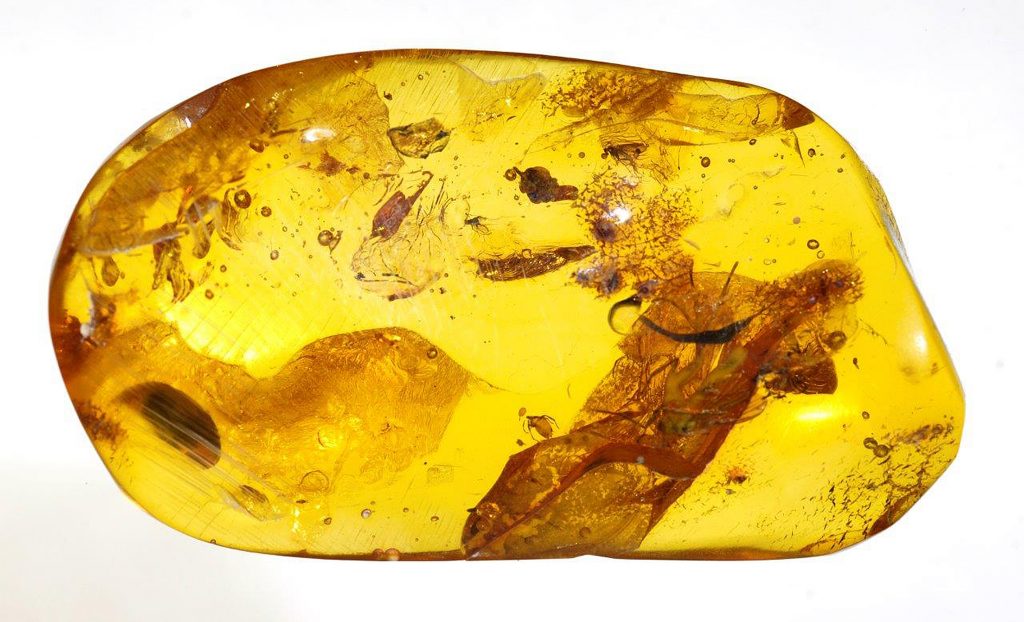 Filozofia ścisła czy właściwa? 1