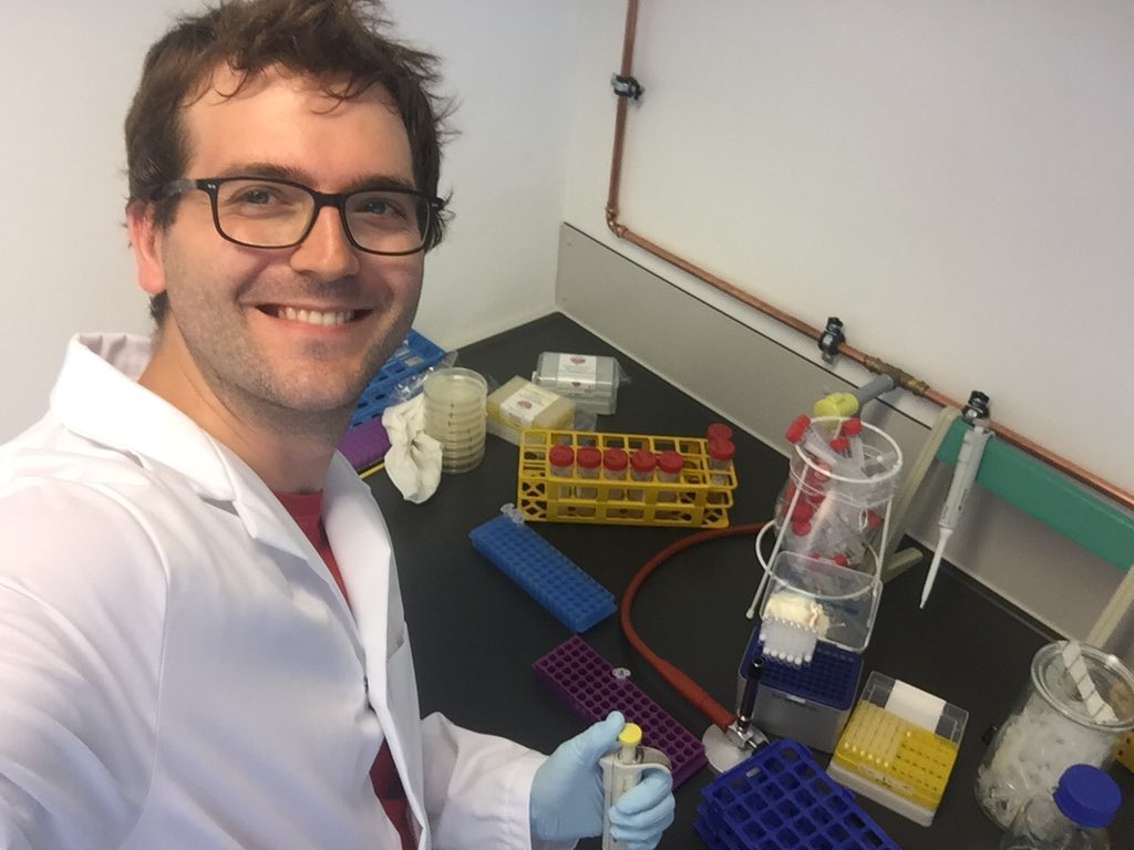 Dominatorzy z Polski 4