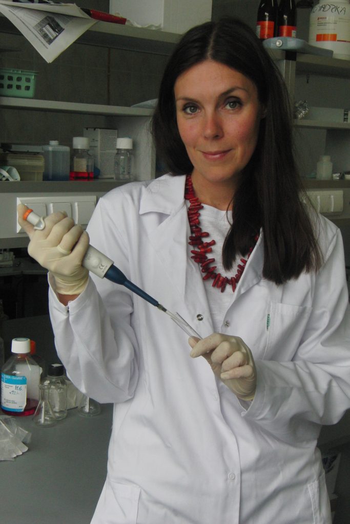 Skomercjalizować „konia trojańskiego” 1