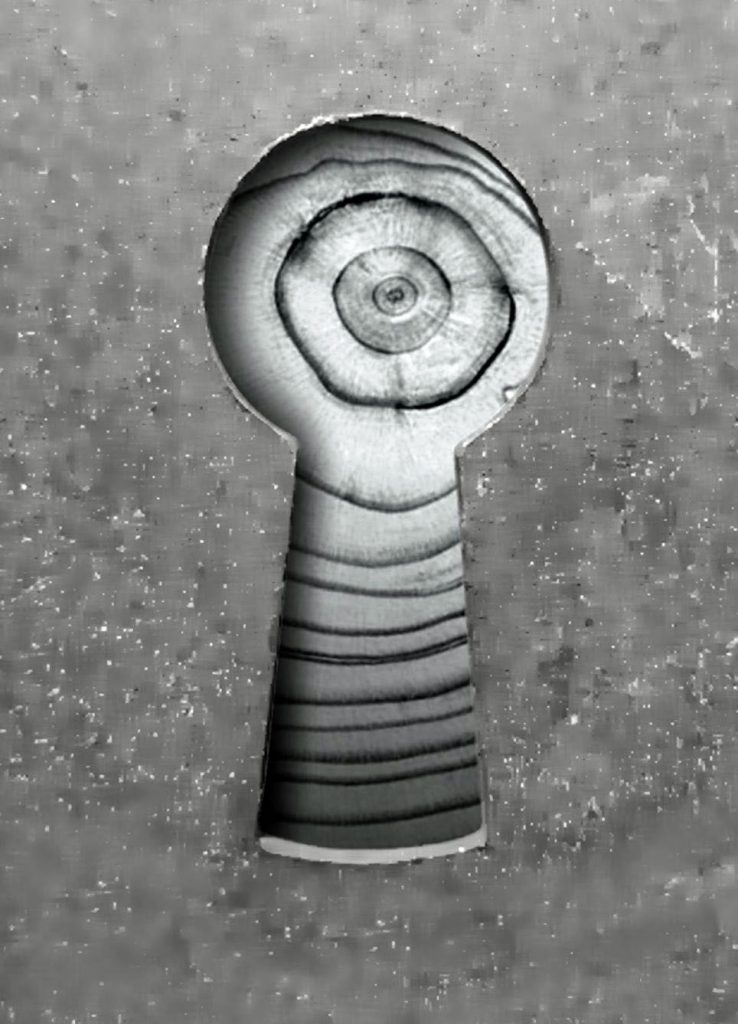 Cel określa sposób 1