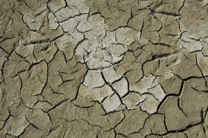 Klimatyczne Centrum 2