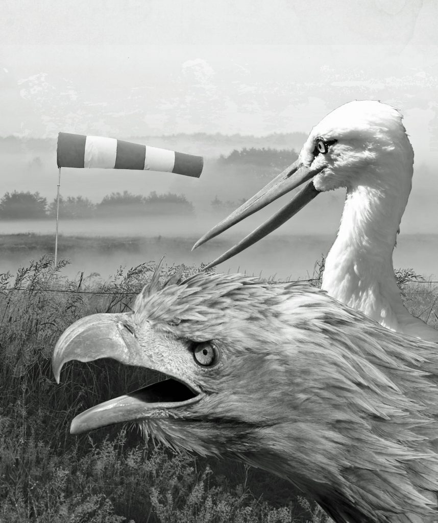 Polski kompleks Zachodu? 1