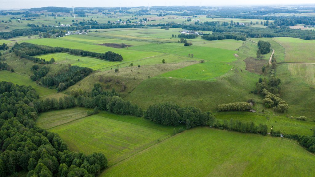 Krajobraz po katastrofie 5