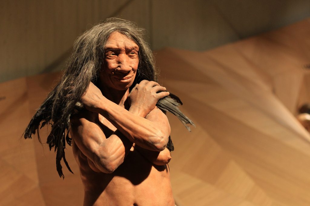 Neandertalczyk 1