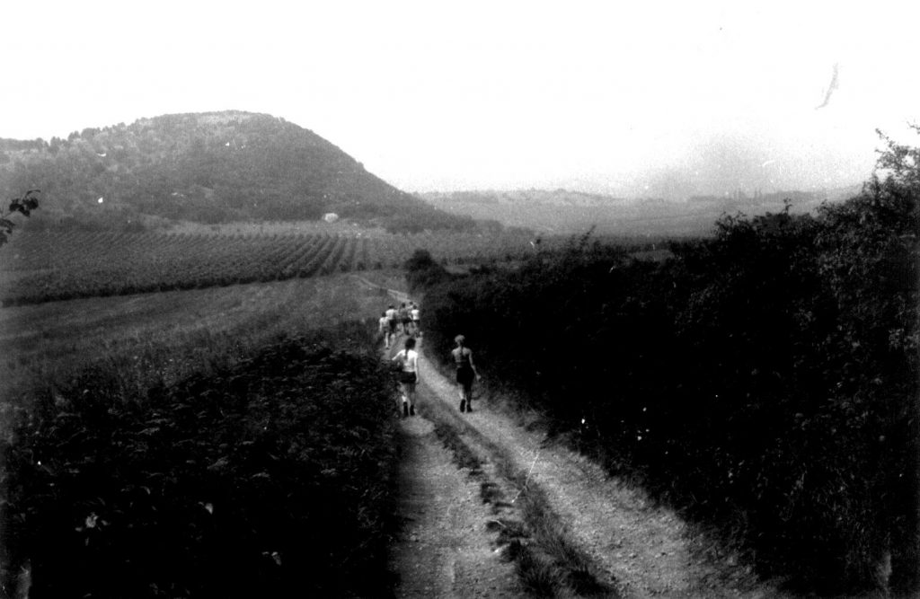 Młodzi geolodzy na szlaku 2