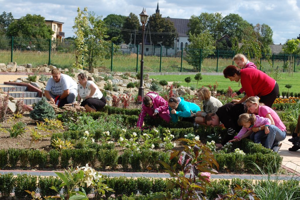 Medicus curat, natura sanat 1