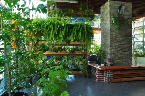 Medicus curat, natura sanat 2