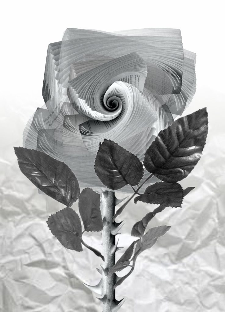 Dwa modele pracy redakcji 1