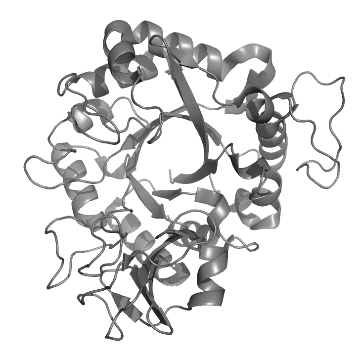 Superbiałka jak „superbakterie”? 1