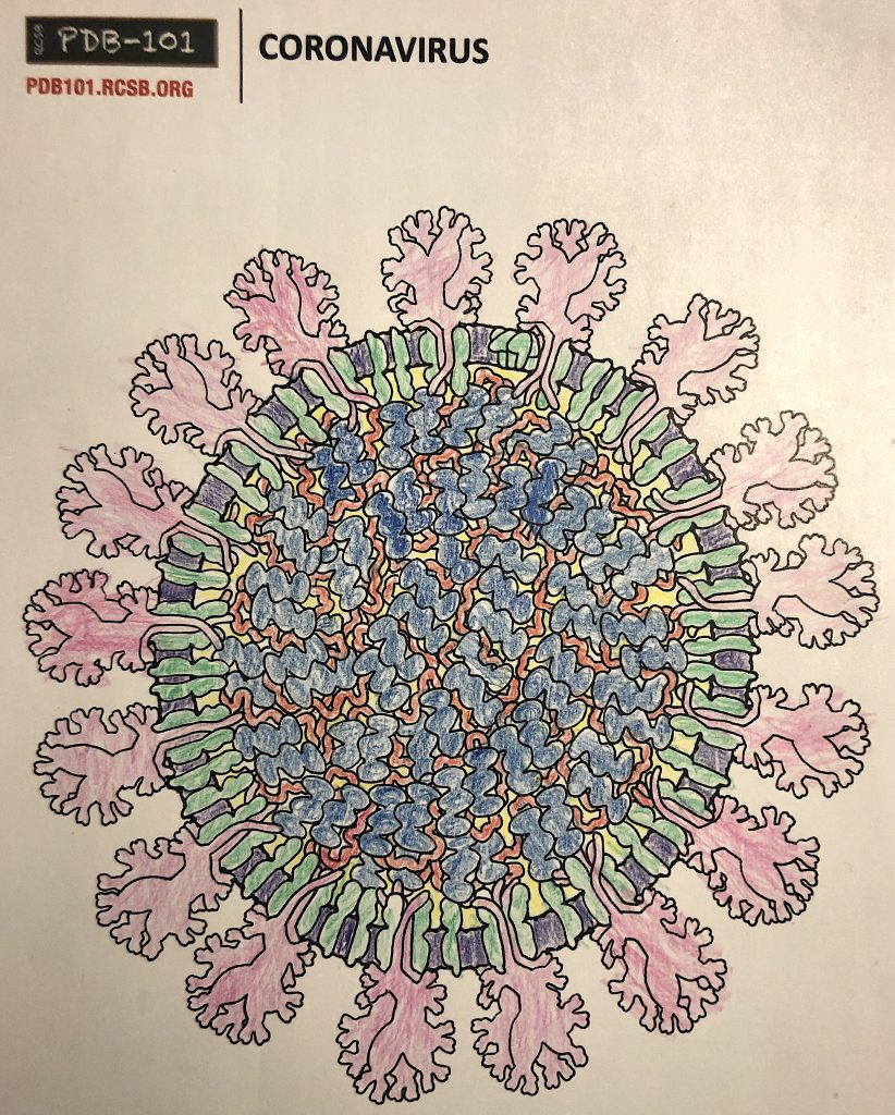 Wyroby „wirusopodobne” 1