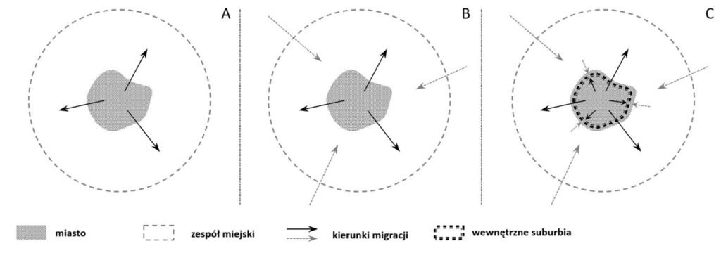 Poszukując korzeni rozlewania się miast 1