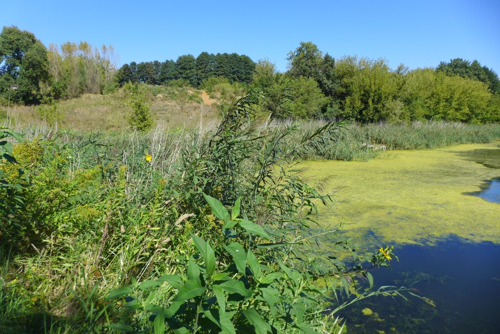 Psychologia miasta jako psychologia miejsca 3
