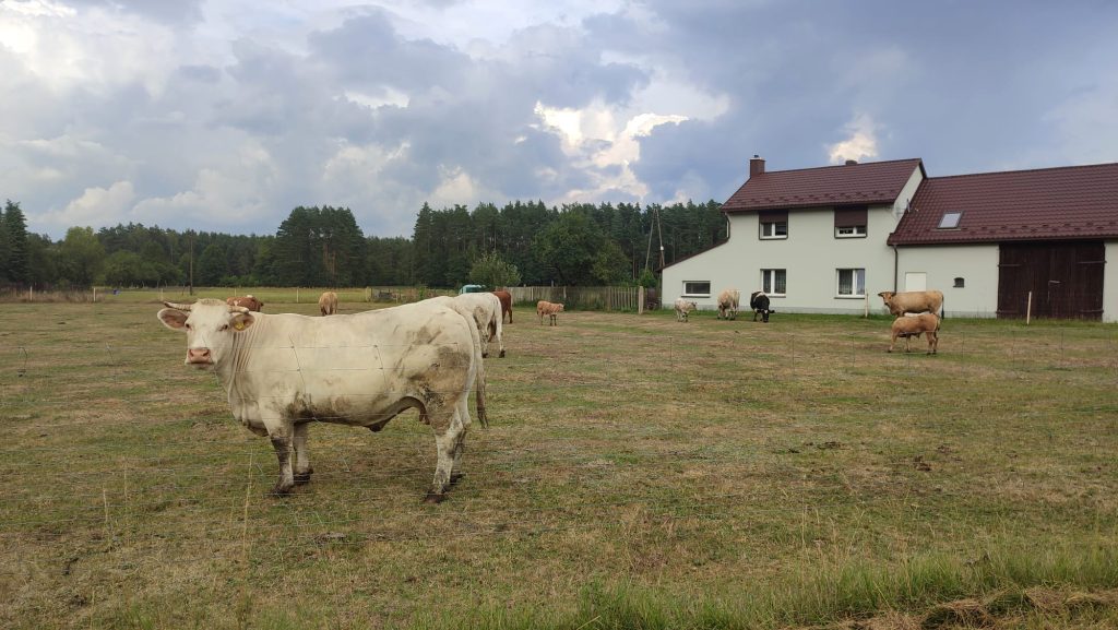 Rzucić wszystko i wyjechać w Bieszczady? 1