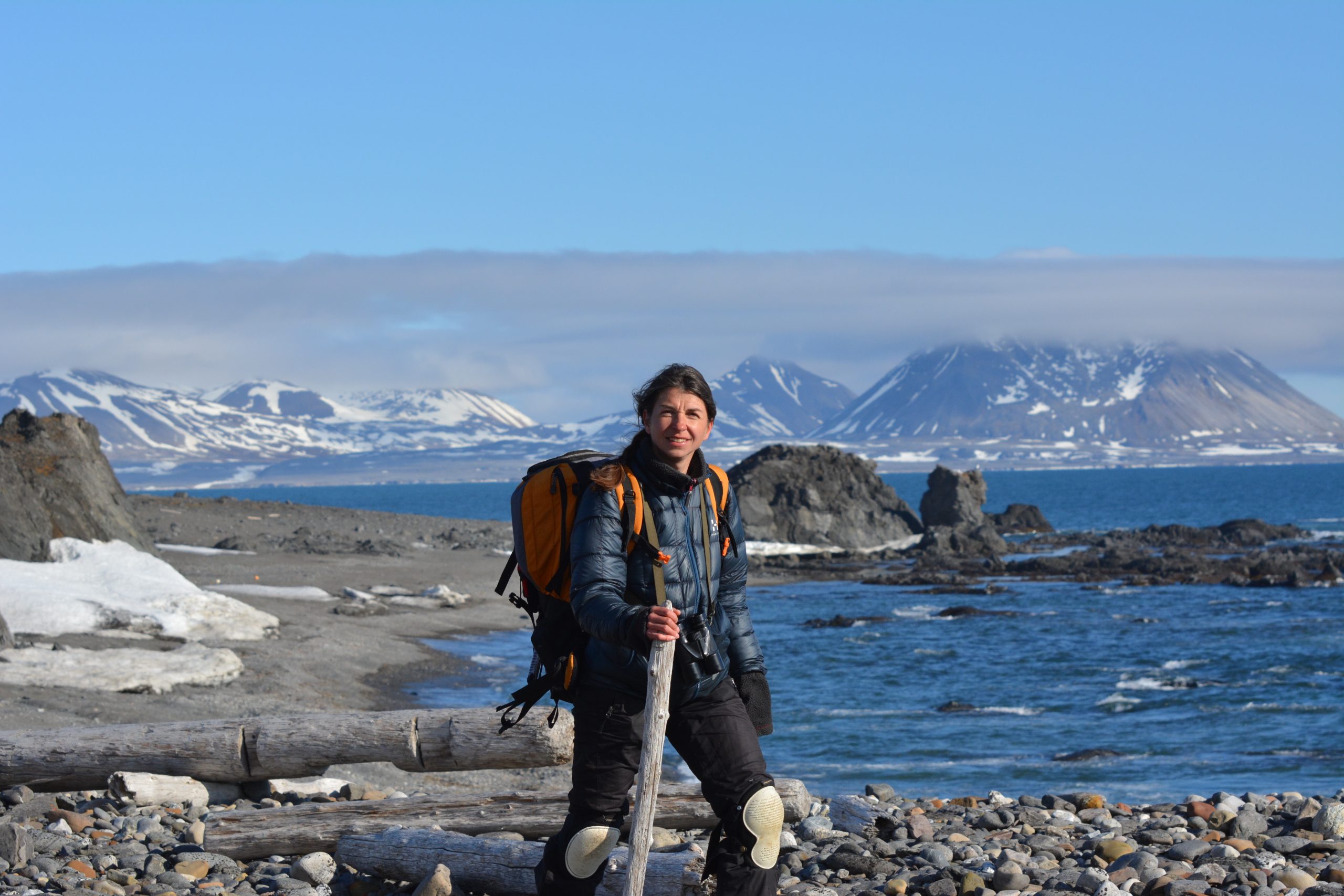 Koordynacja działań rodzicielskich u ptaków 4