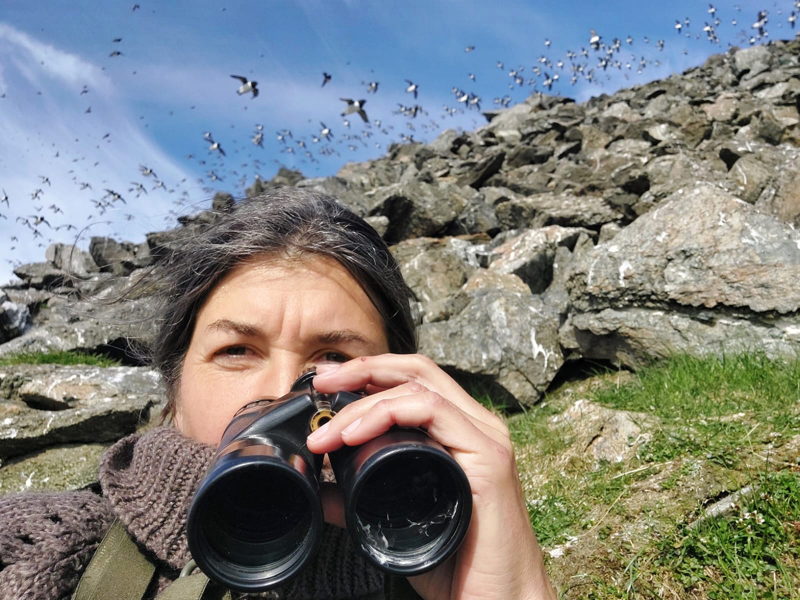 Koordynacja działań rodzicielskich u ptaków 1