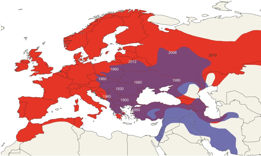 Bastardy w parku i sadzie 4