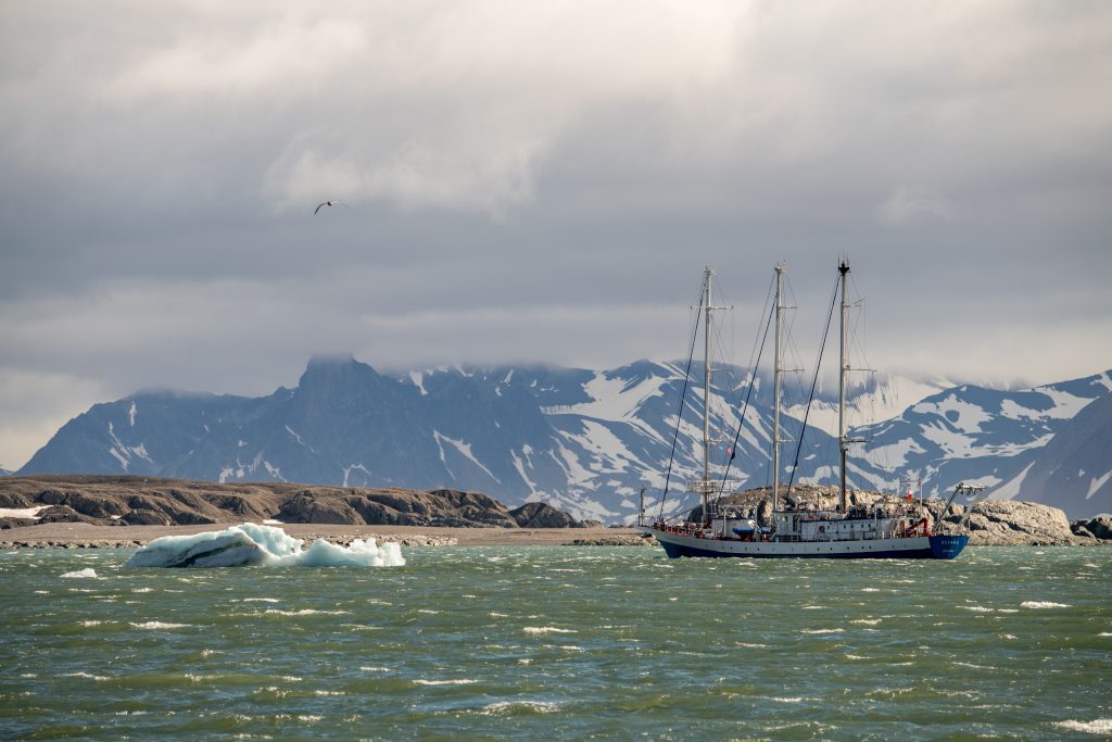 Ptaki morskie i ich menu – klucz do zrozumienia Arktyki 3