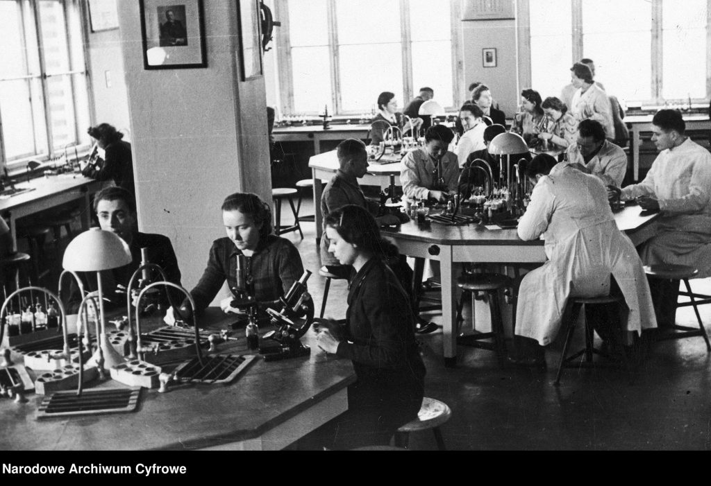 Rok uniwersytetów 6