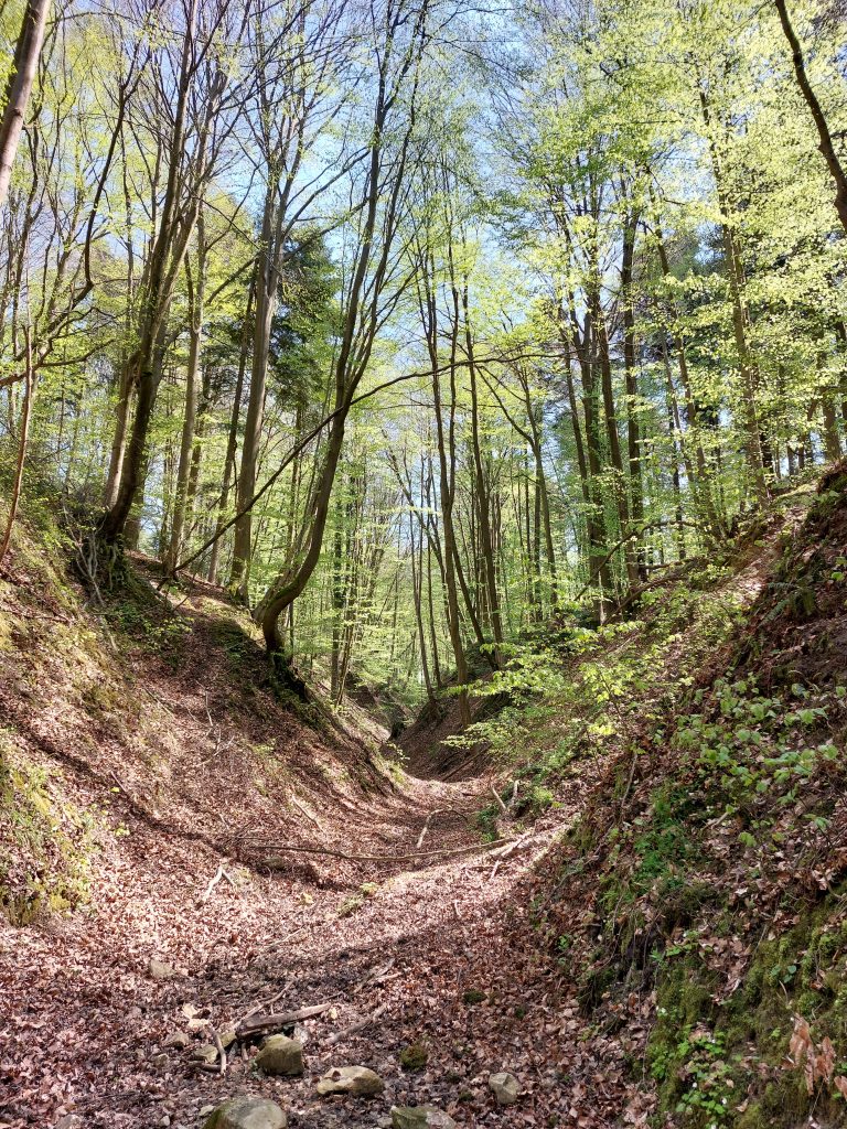 Przestrzeń jak tlen 2