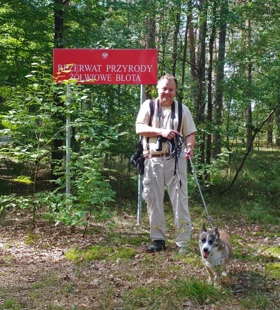 Z perspektywy żółwia 1