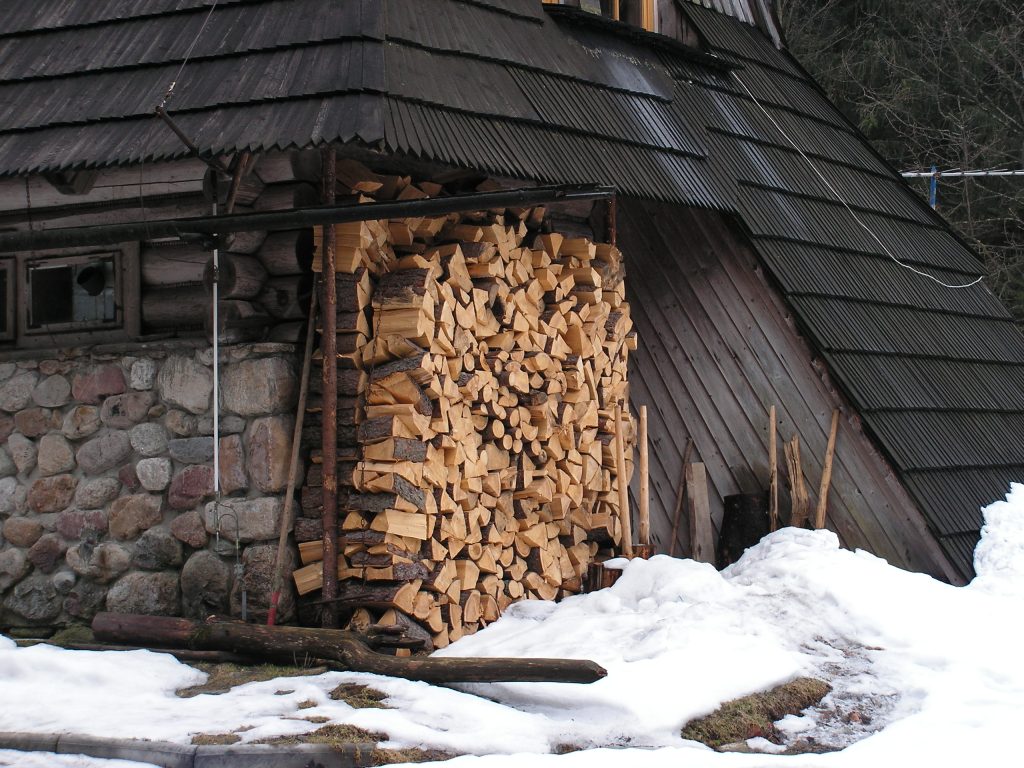 Drewno – kontrowersyjne paliwo 1