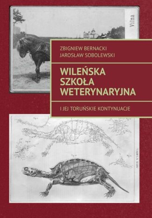 Most ponad historią 1