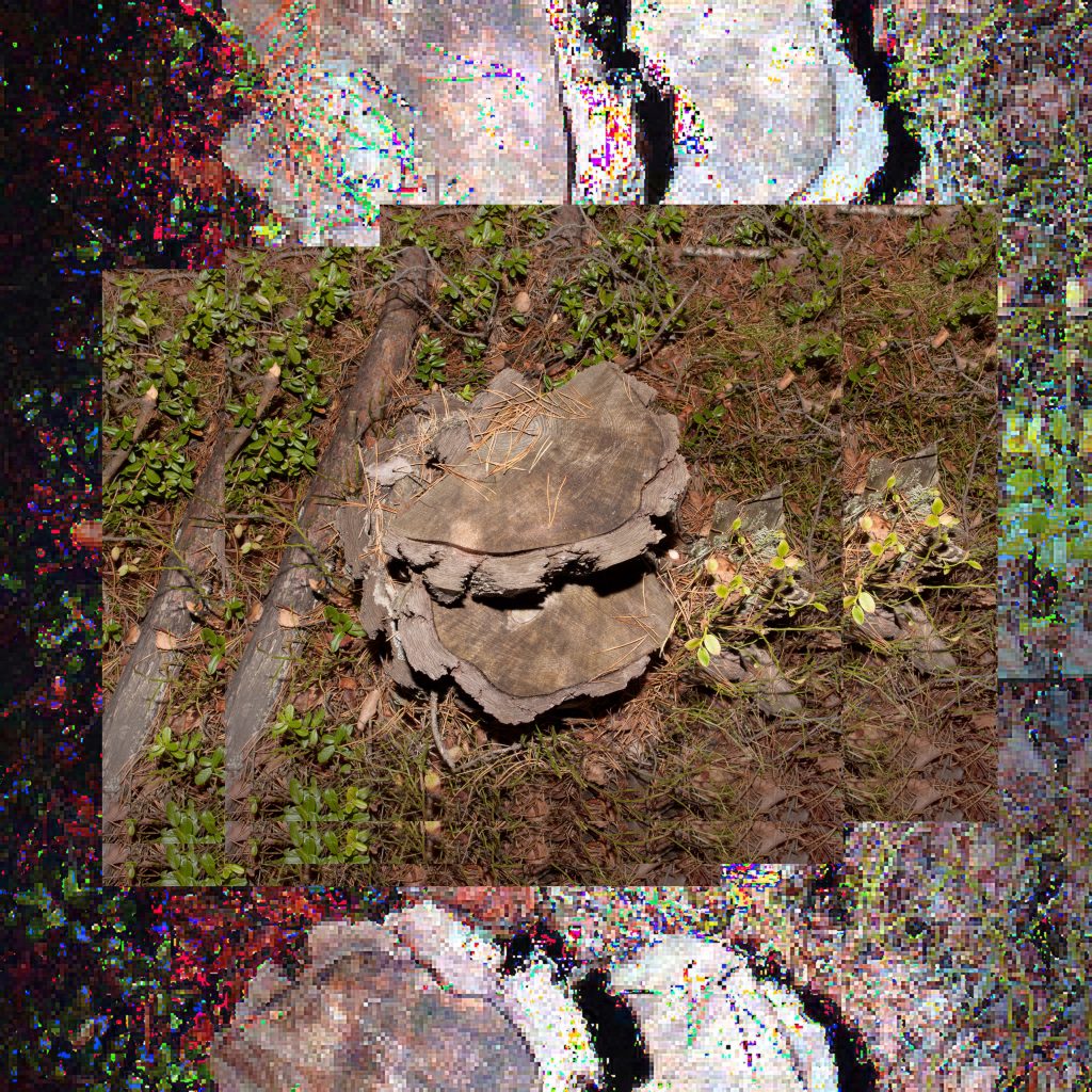 W stronę metafotografii 2 W stronę metafotografii 2